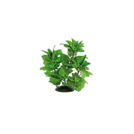 Plant Replica Hygrophila 30Cm