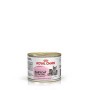 Royal Canin Baby Cat 195Gr