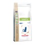 Royal Canin Diabetic Cat 400Gr