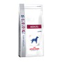 Royal Canin Hepatic 1,5Kg