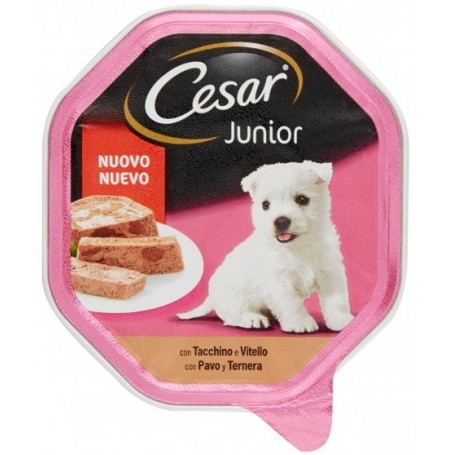 Cesar Junior con Tacchino e Vitello 150gr