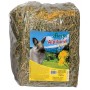 Fiory Fieno Alipland Yellow Dente di Leone 500gr