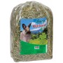 Fiory Fieno Alpiland Green Erba Medica 2Kg