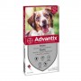 Advantix Cani Da 10 A 25Kg - 6 Fiale