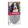 Advantix Cani Da 40 A 60Kg - 6 Fiale
