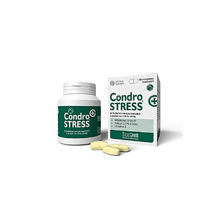 Condrostress Mobility 60 Cpr