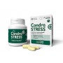 Condrostress Mobility 60 Cpr