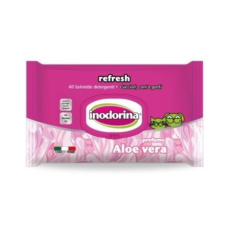 Inodorina Salviette Aloe Vera 110PZ